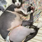 ユーザー画像
