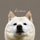 ユーザー画像