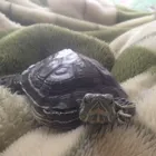 ユーザー画像