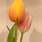 ユーザー画像