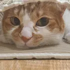 ユーザー画像