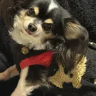ユーザー画像
