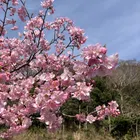 ユーザー画像