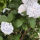 ユーザー画像