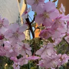 ユーザー画像