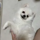 ユーザー画像