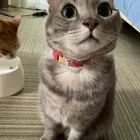 ユーザー画像
