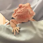 ユーザー画像
