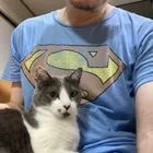 ユーザー画像