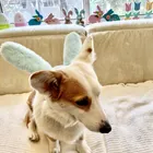 ユーザー画像