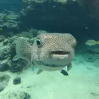 ユーザー画像
