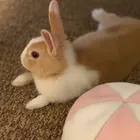 ユーザー画像