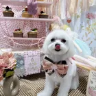 ユーザー画像