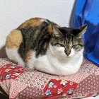 ユーザー画像