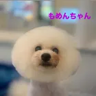 おほん