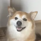 ユーザー画像