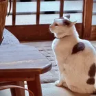 ユーザー画像