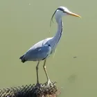 ユーザー画像