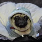 ユーザー画像