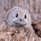 ユーザー画像