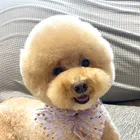ユーザー画像