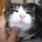 ユーザー画像