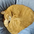 ユーザー画像