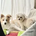 ユーザー画像