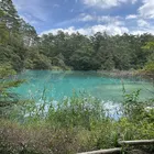 ユーザー画像
