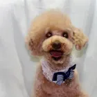 ユーザー画像