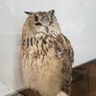 ユーザー画像