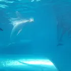 ユーザー画像