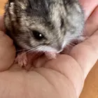 ユーザー画像