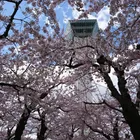 ユーザー画像