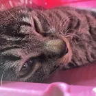 ユーザー画像