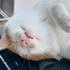 ユーザー画像