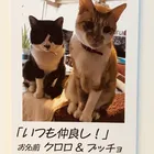 ユーザー画像