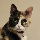 ユーザー画像