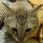 ユーザー画像