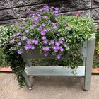 ユーザー画像