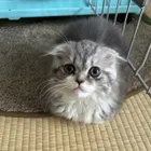ユーザー画像