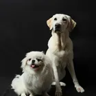 ユーザー画像