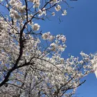ユーザー画像