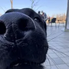 ユーザー画像