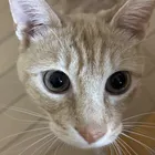ユーザー画像