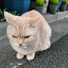 ユーザー画像