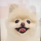 ユーザー画像
