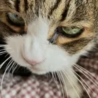 ユーザー画像