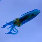 ユーザー画像