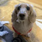 ユーザー画像